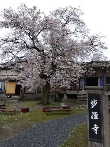 妙経寺(福井県)