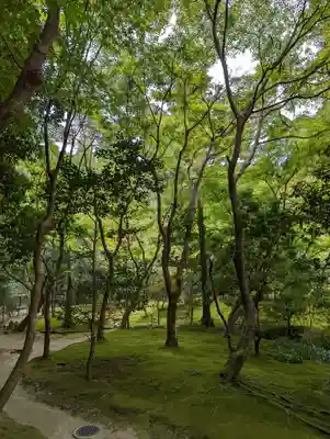 慈照寺（慈照禅寺・銀閣寺）(京都府)