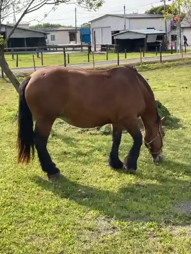 大楽毛神社(北海道)