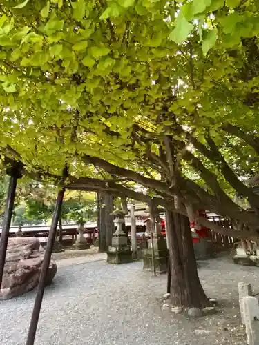 秩父神社の庭園