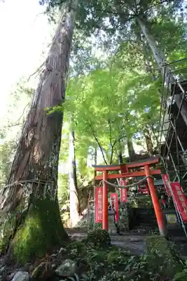 金櫻神社(山梨県)