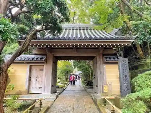 報国寺の山門