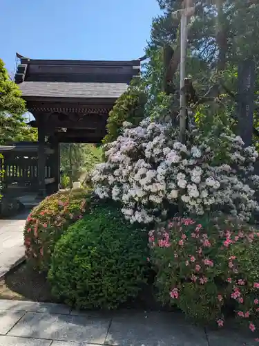 高幡不動尊　金剛寺(東京都)