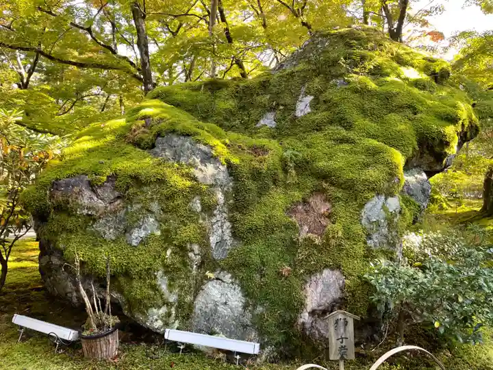 宝厳院(京都府)