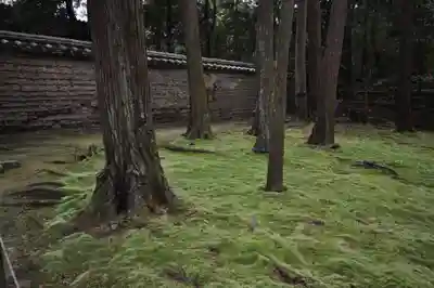 唐招提寺(奈良県)