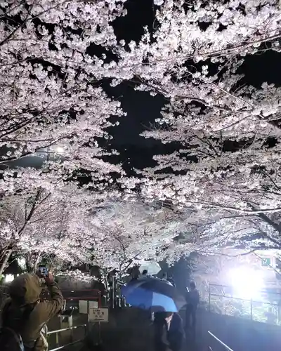 南法華寺（壷阪寺）(奈良県)