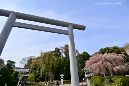 櫻木神社の鳥居