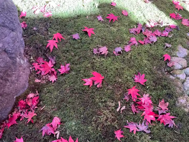 榮攝院(栄摂院)(京都府)