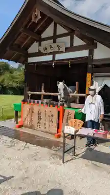 賀茂別雷神社（上賀茂神社）(京都府)