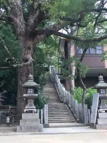 垂水神社の自然