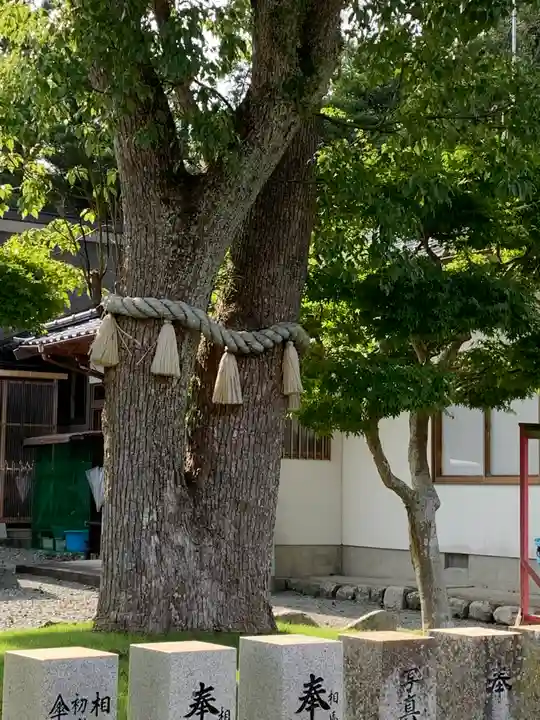 相馬神社の自然