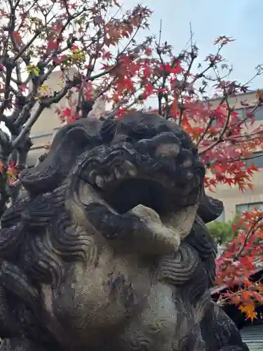 京都ゑびす神社(京都府)