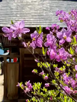 獅子崎稲荷神社(京都府)