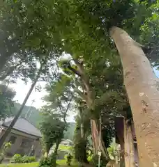 田中神社(福井県)