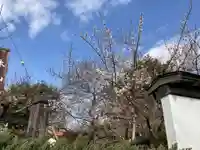 大光院(神奈川県)