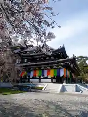 長谷寺の本殿