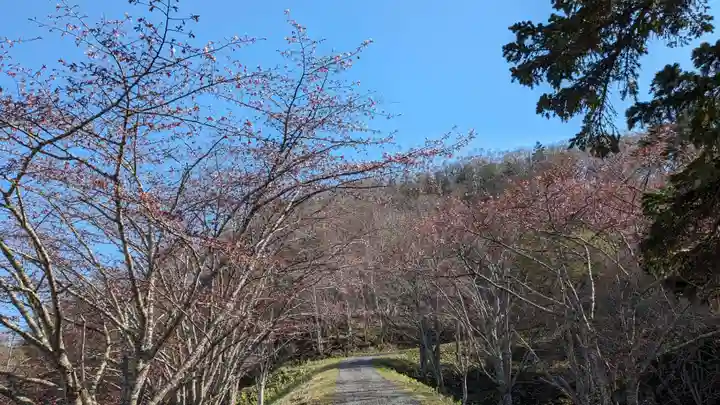 厚岸神社の自然