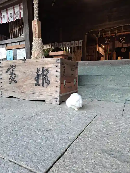大御和神社(徳島県)