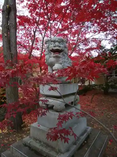 遠軽神社の狛犬