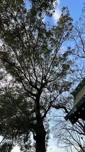 彌刀神社(大阪府)