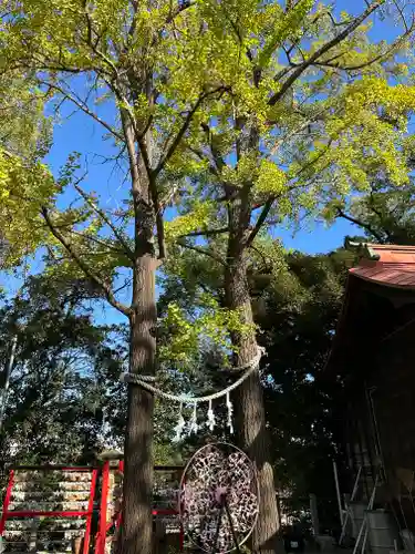 多摩川浅間神社(東京都)
