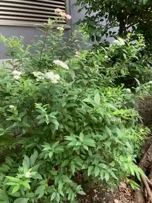 須賀神社(東京都)