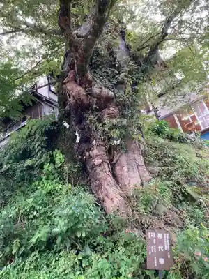 武蔵御嶽神社(東京都)