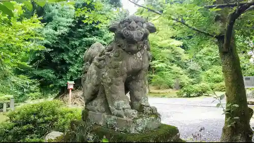 正法寺の狛犬