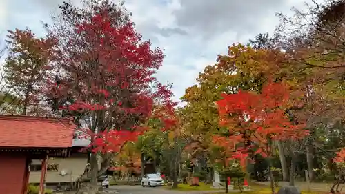 鷹栖神社の自然