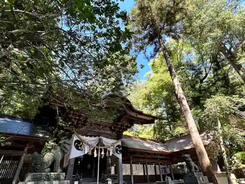 矢彦神社の本殿・本堂