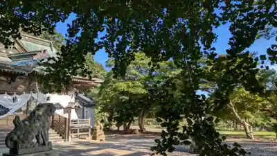 住吉神社の自然