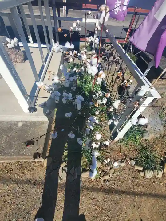 助戸阿弥陀堂(栃木県)