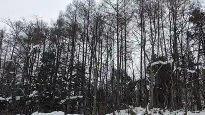 定山渓神社の自然