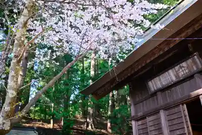 河口浅間神社(山梨県)