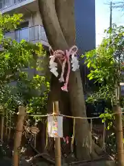 伊和志津神社の自然