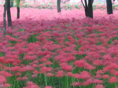高麗神社(埼玉県)