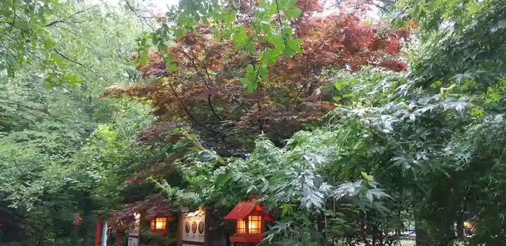 冠稲荷神社の自然