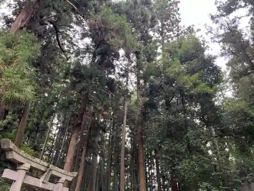 大宮温泉神社(栃木県)
