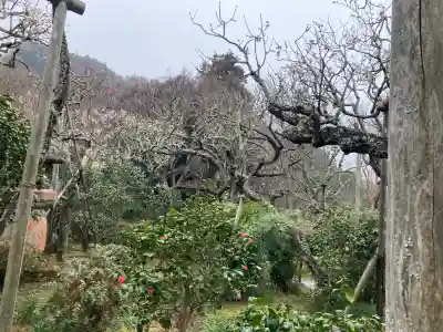 瑞泉寺の{uncategorized: "未分類", other: "その他", undefined: "問題あり", building: "その他建物", grave: "お墓", sacred_gate: "鳥居", guardian: "狛犬", statue: "像", buddha: "仏像", history: "歴史", nature: "自然", garden: "庭園", animal: "動物", pagoda: "塔", temizu: "手水舎", mountain_gate: "山門・神門", sanctuary: "本殿・本堂", subordinate: "末社・摂社", art: "芸術", scenery: "景色", jizo: "地蔵", ema: "絵馬", goshuin: "御朱印", omikuji: "おみくじ", items: "授与品その他", amulet: "お守り", goshuincho: "御朱印帳", eats: "食事", festival: "お祭り", votive_dance: "神楽", shichigosan: "七五三参", wedding: "結婚式", experience: "体験その他", initially: "初詣", around: "周辺", anti_infection: "感染症対策"}