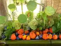 嘉川八幡宮(山口県)