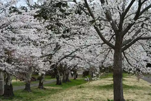 蒼柴神社(新潟県)