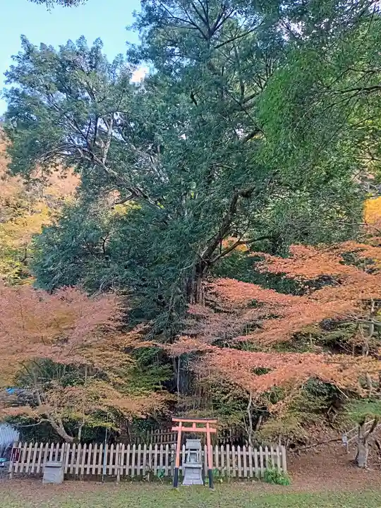 金剛院(京都府)