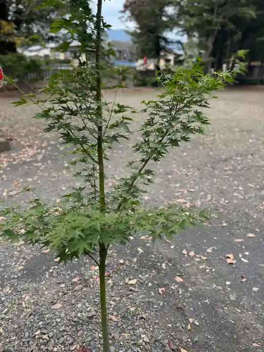 武水別神社(長野県)