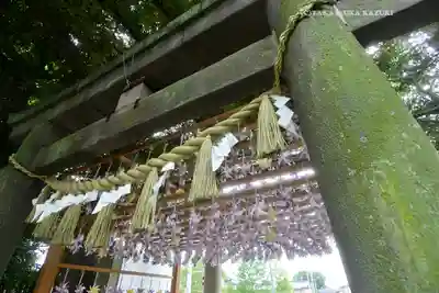 川越氷川神社(埼玉県)