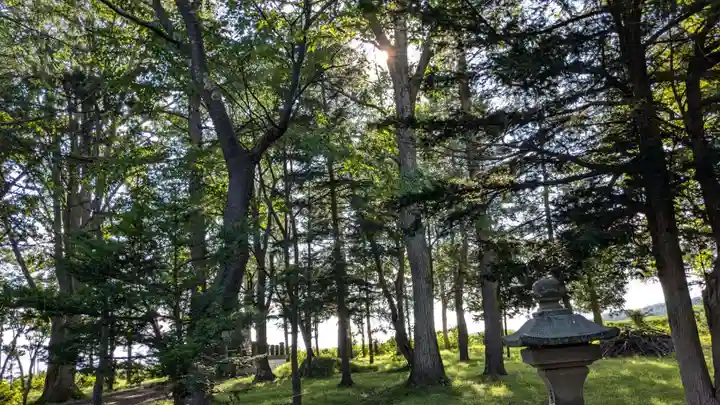 北龍神社の自然
