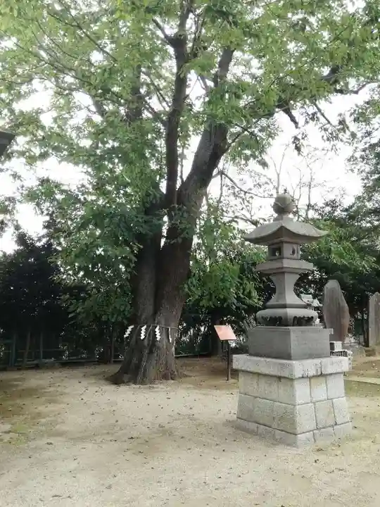 素鵞神社のその他建物