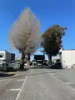 天王院の{uncategorized: "未分類", other: "その他", undefined: "問題あり", building: "その他建物", grave: "お墓", sacred_gate: "鳥居", guardian: "狛犬", statue: "像", buddha: "仏像", history: "歴史", nature: "自然", garden: "庭園", animal: "動物", pagoda: "塔", temizu: "手水舎", mountain_gate: "山門・神門", sanctuary: "本殿・本堂", subordinate: "末社・摂社", art: "芸術", scenery: "景色", jizo: "地蔵", ema: "絵馬", goshuin: "御朱印", omikuji: "おみくじ", items: "授与品その他", amulet: "お守り", goshuincho: "御朱印帳", eats: "食事", festival: "お祭り", votive_dance: "神楽", shichigosan: "七五三参", wedding: "結婚式", experience: "体験その他", initially: "初詣", around: "周辺", anti_infection: "感染症対策"}