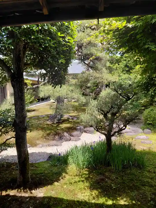 妙顯寺(妙顕寺)(京都府)