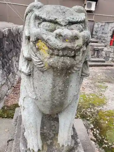 櫟原神社の狛犬