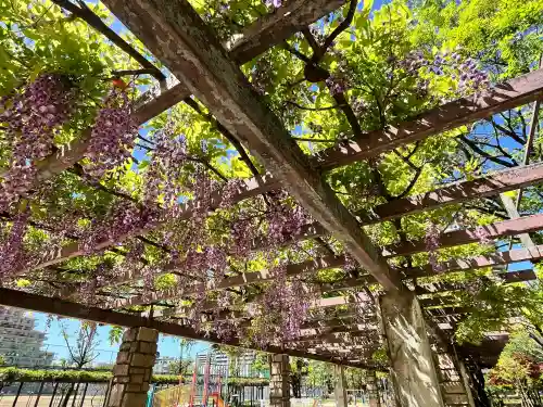 天満宮中之社（廃神社・石碑あり）(大阪府)